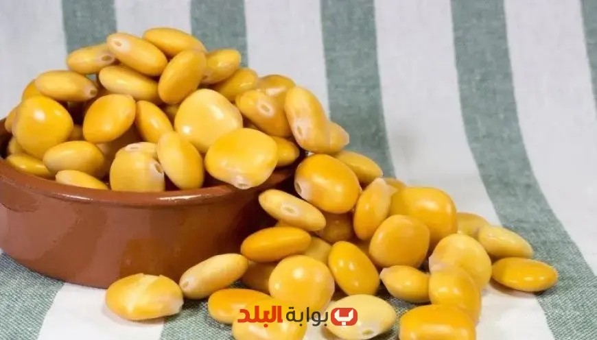 3 فوائد مذهلة للترمس في عيد الأضحى: لا تفوت تناوله مع الليمون!