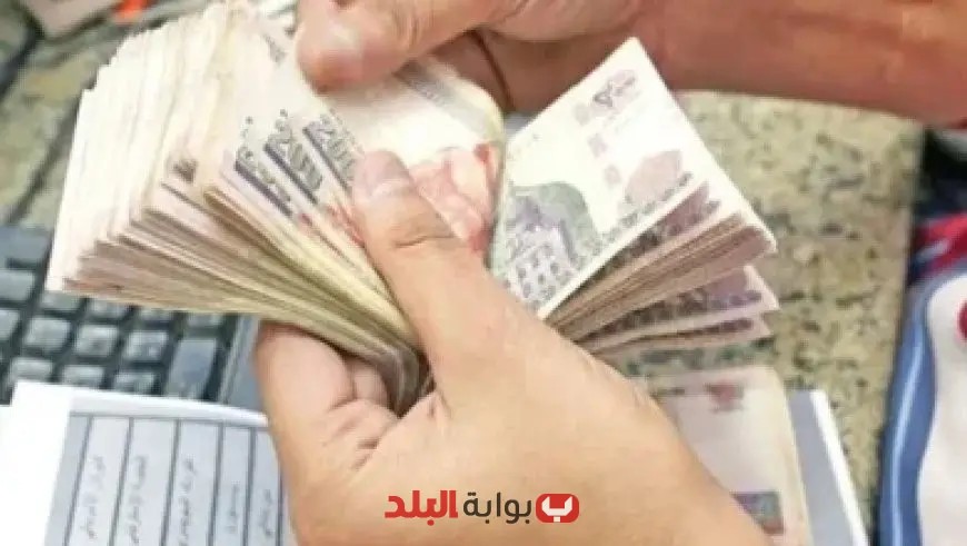 “إزالة مخالفات البناء ومصادرة معدات المقاولين ومواد البناء في دمياط الجديدة: إجراءات حازمة لحماية المدينة”