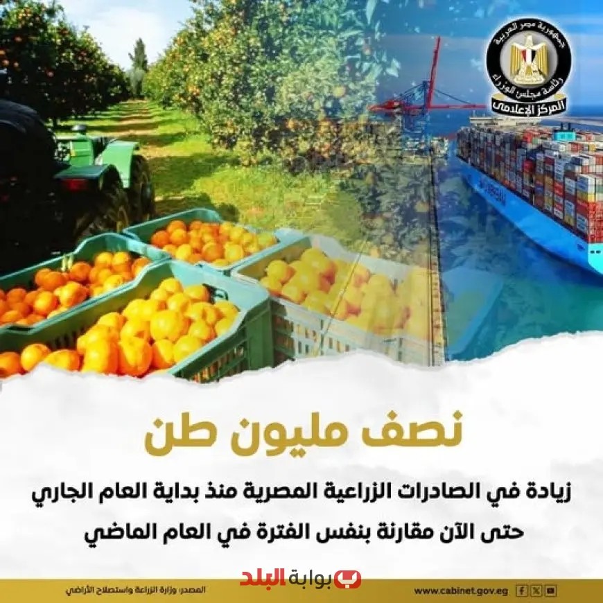 مصر تحقق صادرات زراعية قياسية تصل إلى 4.8 مليون طن منذ بداية العام!