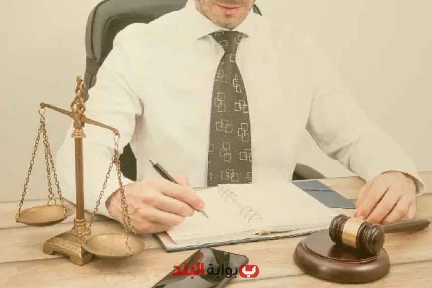 دينا عدلي تكشف: لا قواعد ثابتة لاختيار المحامي وتخصصه يعتمد على الاختيار الشخصي!
