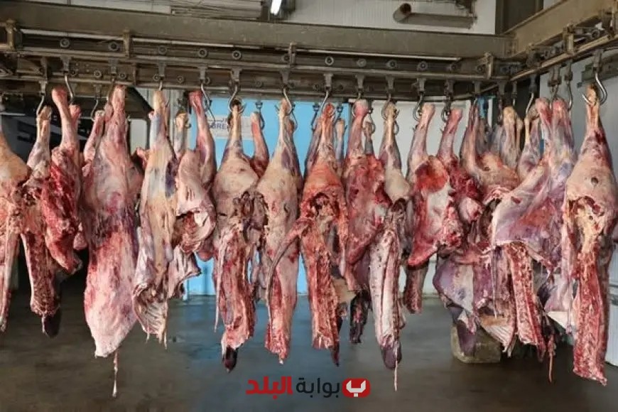 الأوقاف تُطلق المرحلة الثانية من مشروع صكوك الأضاحي: فرص جديدة للتكافل الاجتماعي
