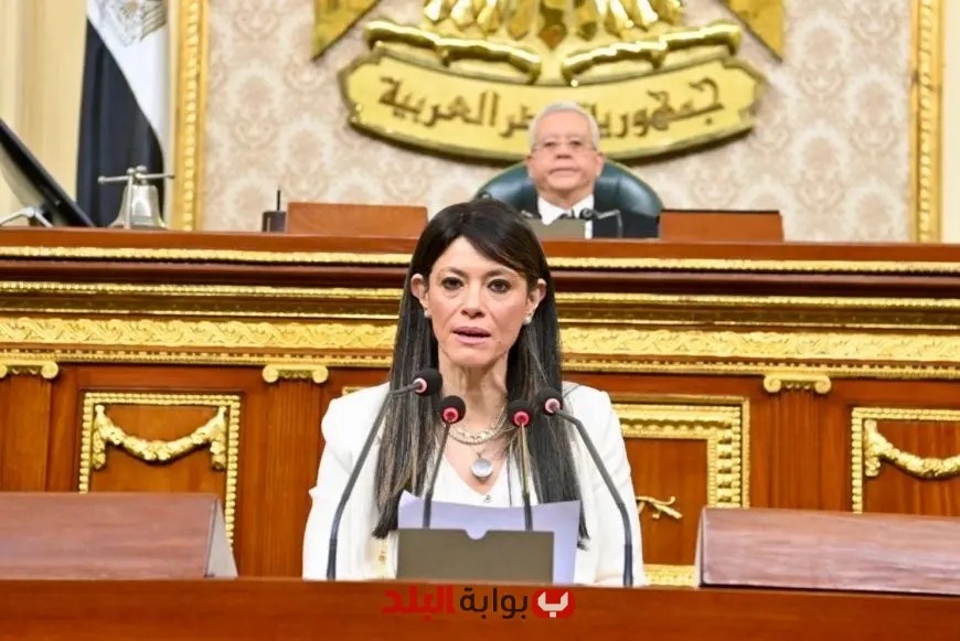 المشاط: مصر تتصدر العالم في مؤشر قطاع الكهرباء للمناطق الصناعية والطرق!