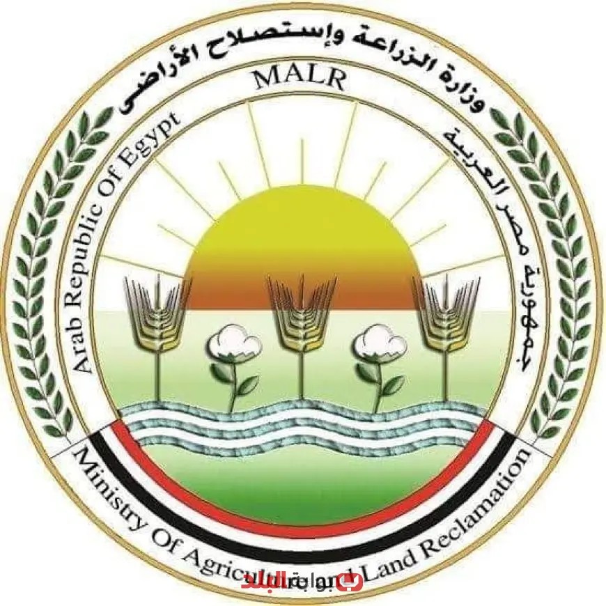 الزراعة تكشف استقبال المجازر الحكومية لـ 34 ألف أضحية خلال عيد الأضحى في جميع المحافظات!