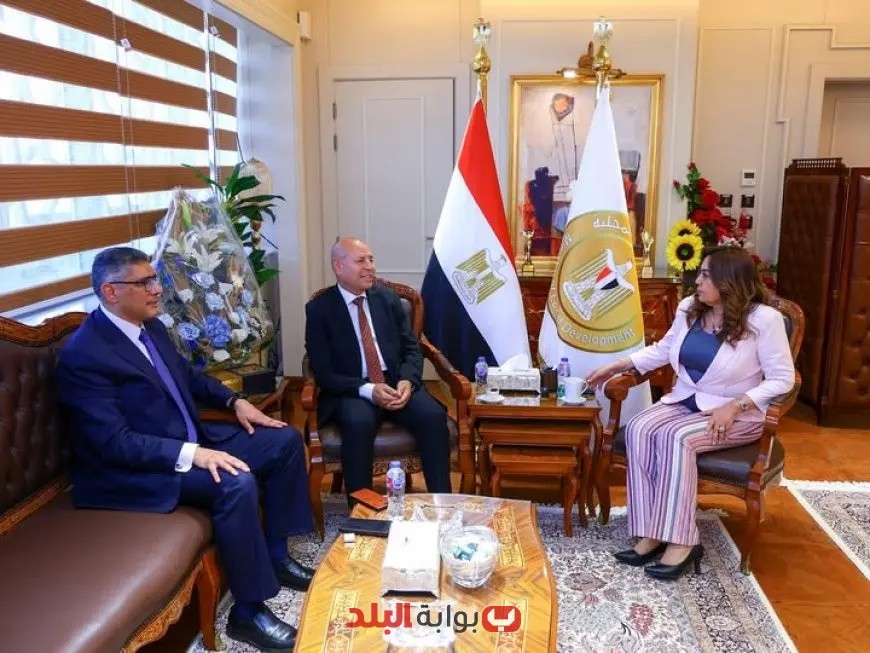 وزيرة التنمية المحلية تتواصل مع محافظي القاهرة والجيزة لمتابعة المشروعات التنموية والخدمية الحيوية