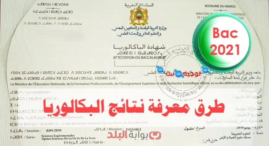 نتائج البكالوريا المغرب 2025 الدورة العادية رابط الاستعلام وعدد المترشحين حسب الفئات