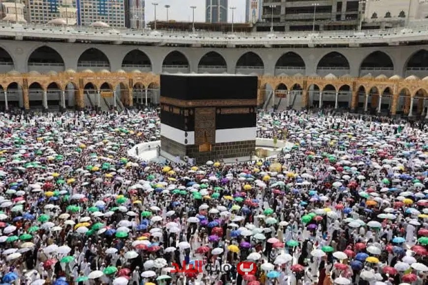 نجاح باهر لموسم الحج هذا العام: تنظيم غير مسبوق يعزز السياحة والرحلات الدينية