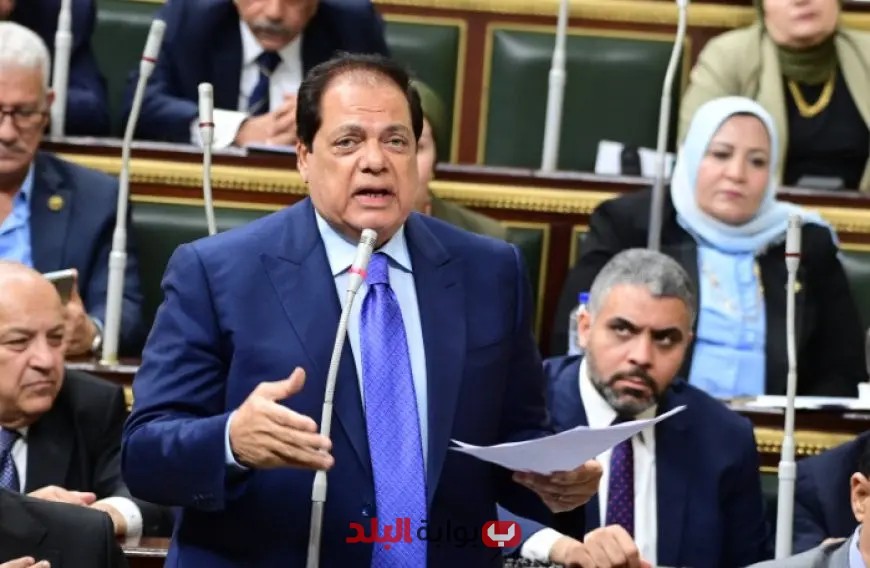 أبو العينين: تعزيز دور القطاع الخاص لتخفيف الأعباء عن كاهل الدولة