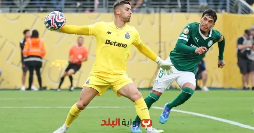 بعد أداء مميز.. حارس بورتو الاحتياطي يعلن: “أنا جاهز دائماً”