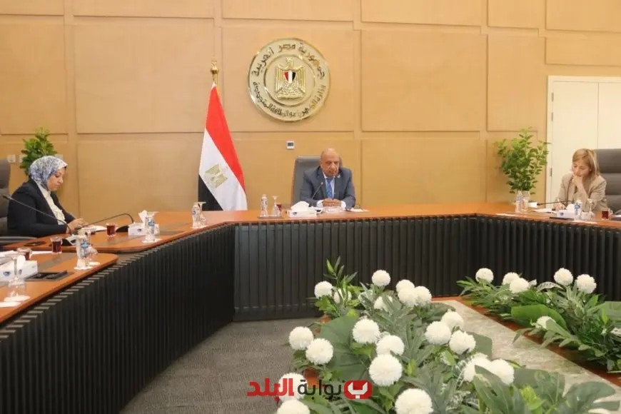 وزير الكهرباء يناقش مع وفد الاتحاد الأوروبي تعزيز الشراكة في مجال الطاقة المتجددة