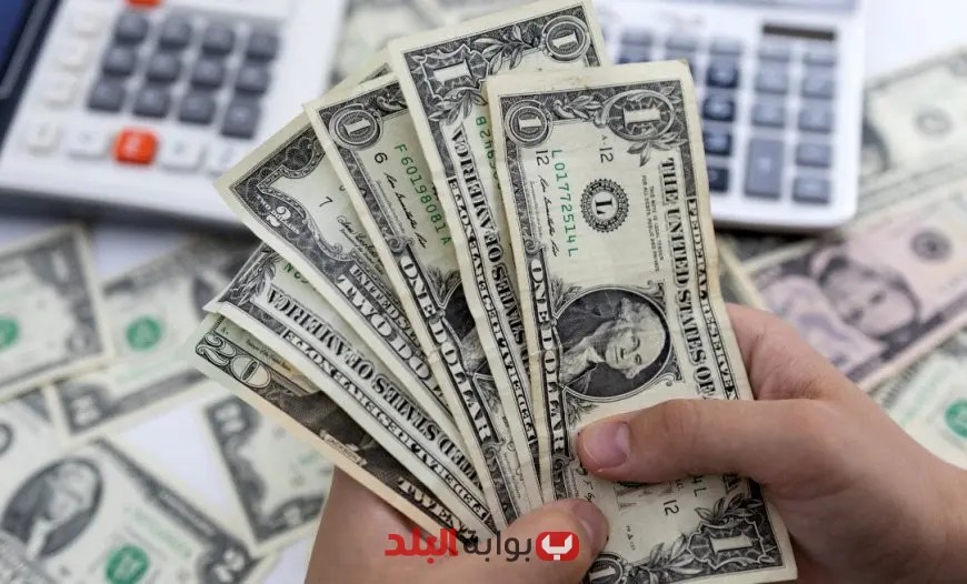 سعر الدولار مقابل الجنيه المصري اليوم الأربعاء 18 يونيو 2025 في البنوك: تحديثات حية وأسعار السوق