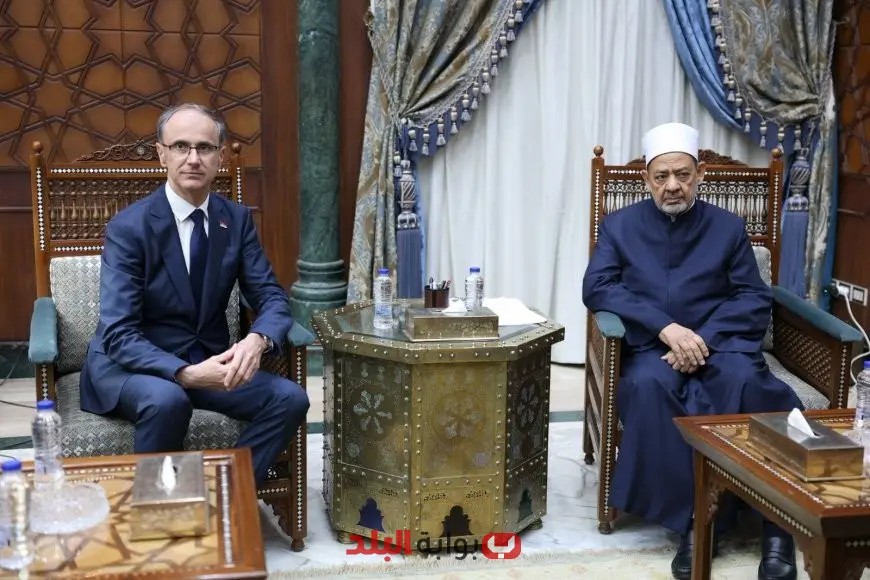 شيخ الأزهر يلتقي رئيس وزراء صربيا لتعزيز التعاون العلمي والدعوي لدعم مسلمي صربيا