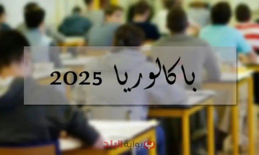 اكتشف الآن.. رابط نتائج البكالوريا 2025 في تونس عبر الإنترنت والرسائل النصية بخطوات سهلة ومباشرة