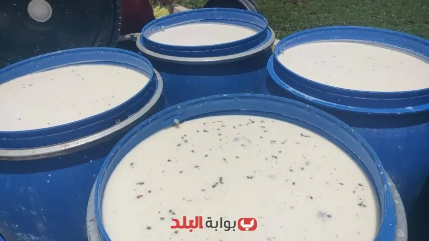 ضبط 2050 لتر من الألبان الملوّثة وغير الصالحة للاستهلاك الآدمي في بني سويف!
