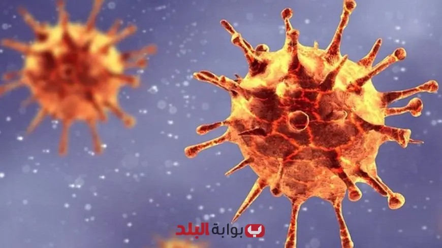 تنبيهات هامة لكبار السن وذوي الأمراض المزمنة: احذروا من المتحورات الفيروسية في فصل الصيف!