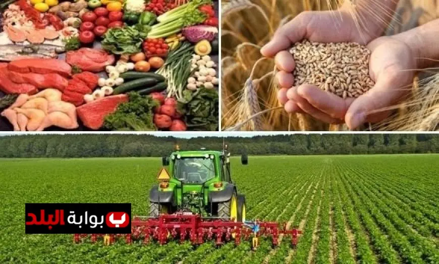 مصر تتبنى إجراءات استباقية لتعزيز الأمن الغذائي في ظل الأزمات الإقليمية الحالية