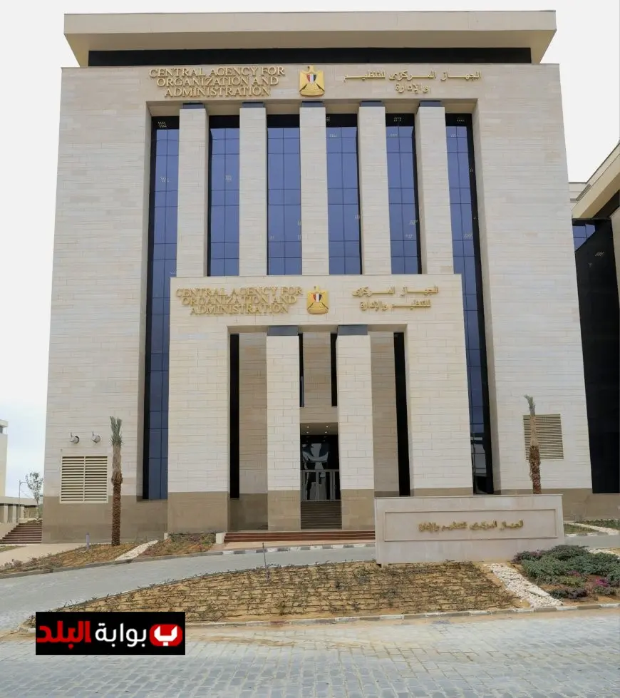 “اكتشف مستواك المهني! التنظيم والإدارة يعلن عن ترقية الموظفين وبدء التطبيق في يوليو 2025”