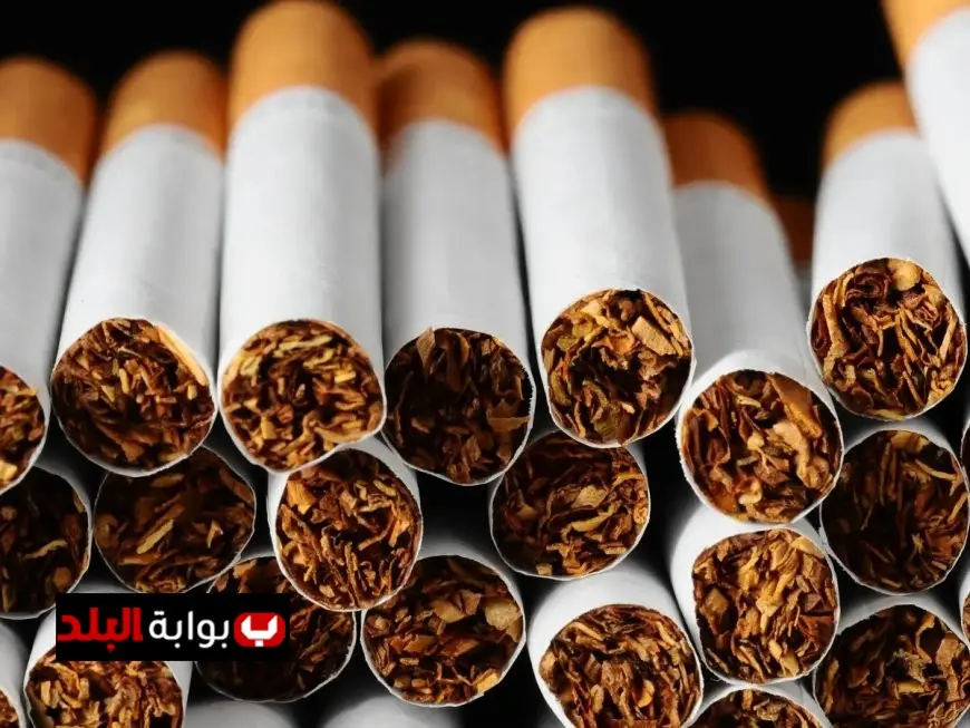ارتفاع محتمل في أسعار السجائر بمصر بعد تعديل الضرائب.. إليكم توضيحات شعبة الدخان!