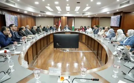 محافظ الجيزة ونائب وزير الإسكان يتعاونان لإيجاد حلول جديدة لمشكلات مياه الشرب والصرف الصناعي في المنطقة الصناعية بأبو رواش