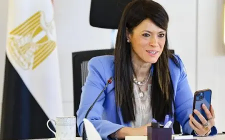 المشاط: تسهيلات تمويلية تتجاوز 15.6 مليار دولار تدعم القطاع الخاص منذ عام 2020