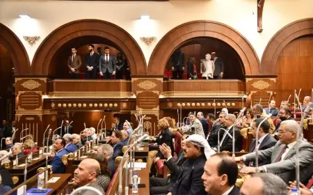 انتخابات مجلس الشيوخ للخارج: تحديد يومي 1 و2 أغسطس للاقتراع!