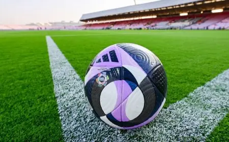 “ثورة مالية: خطوات جديدة لتعزيز نظام العمل المالي في الأندية السعودية”