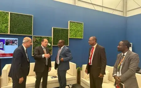 وزير المالية يؤكد أهمية تعزيز التعاون الأفريقي والدولي لتحقيق تمويل تنموي مستدام وشامل
