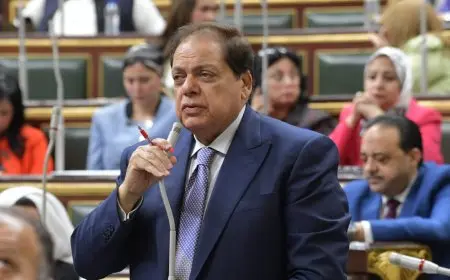 أبو العينين يدعو إلى تعزيز مشروعات الطاقة الشمسية لتلبية احتياجات المستقبل