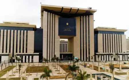 مصر تندد بتصريحات إسرائيل حول فرض السيادة على الضفة الغربية: خطوات تصعيدية تثير القلق internazionale