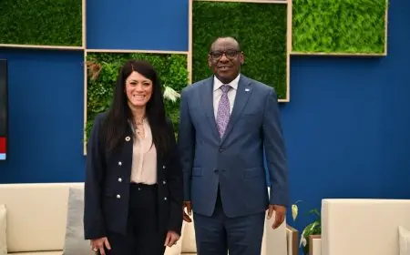 تعزيز التعاون الدولي: وزيرة التخطيط تلتقي ممثلي لجنتي أفريقيا وغربي آسيا لتعزيز الشراكات الأممية