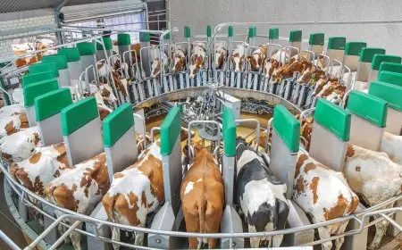 “وزارة الزراعة تمنح 677 ترخيصًا جديدًا لمشاريع الإنتاج الحيواني والداجني لتعزيز القطاع”