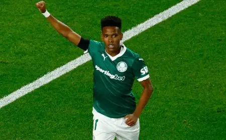 الفتى الذهبي إستيفاو يسجل هدفاً رائعاً ويقود تشيلسي للفوز في أول مباراة له!