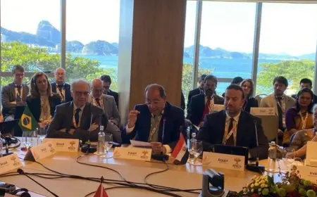 وزير المالية يؤكد أهمية دور «بريكس» في معالجة أزمة ديون الدول متوسطة الدخل