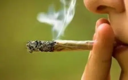 إطلاق حملة توعية جديدة للسائقين حول مخاطر الإدمان: تفاصيل هامة وحصرية