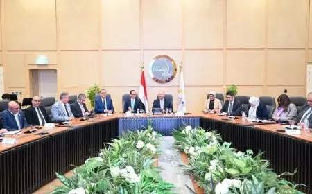 مصر تعزز مستقبل السيارات الكهربائية من خلال تعديلات مغرية للمصنعين المحليين والمصدرين