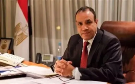 مصر تعبر عن اهتمامها بدعم الاستقرار في جوبا: وزير الخارجية يطّلع نظيره الجنوب سوداني على خطة التعاون