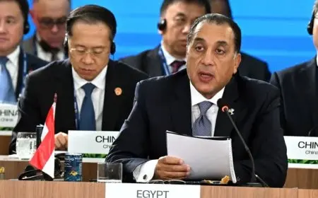 مدبولي يؤكد في جلسة البريكس: الصحة تعتبر من أبرز مجالات تعزيز التعاون بين الدول