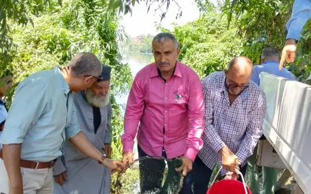 محافظ الدقهلية يشرف على إطلاق 500 ألف ذريعة سمكية من أسماك البلطي لتحسين البيئة المائية