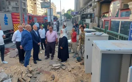 المصرية للاتصالات تُطلق 4 كبائن جديدة أمام السنترال لتحسين خدمات التواصل!