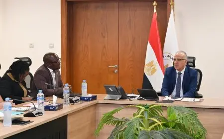 وزير الري يؤكد: مصر تواصل جهودها لتعزيز وحدة إفريقيا وتبادل الخبرات بين الدول الأفريقية