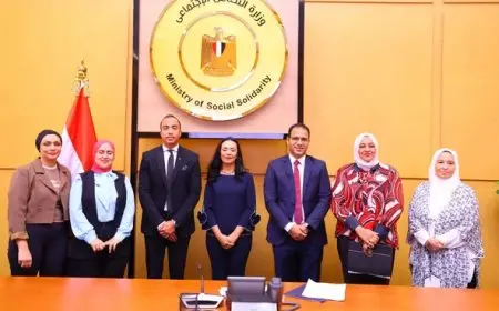 وزيرة التضامن تترأس اللجنة العليا للأسر البديلة الكافلة وتُكرّم أعضائها المميزين في احتفالية خاصة