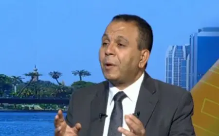 كيف يستعد خريج الجامعة لسوق العمل بنجاح؟ إليك الفيديو الشامل!