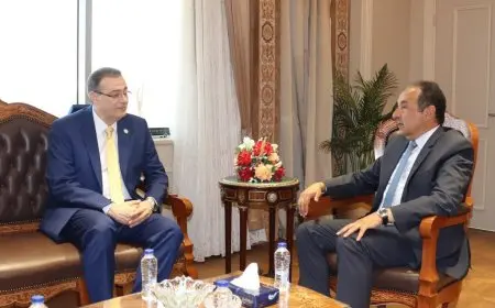 “وزير قطاع الأعمال يلتقي رئيس الجهاز المركزي لتعزيز سبل التعاون المشترك”