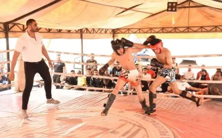 الكيك بوكسينج تكشف عن خطة مثيرة للموسم الجديد تُنظم 45 بطولة وحدث رياضي مميز!