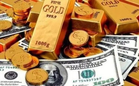 تعرّف على آخر تحديثات أسعار الذهب والدولار في مصر اليوم!