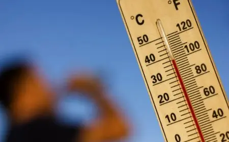 استمرار الحر والرطوبة: الأرصاد تكشف تفاصيل طقس الأسبوع والظواهر الجوية المتوقعة