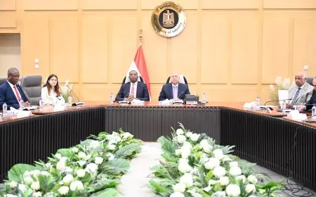 “وزير قطاع الأعمال يرأس الجمعية العامة لـ ‘القابضة الكيماوية’ لمناقشة واعتماد موازنة 2025/2026”