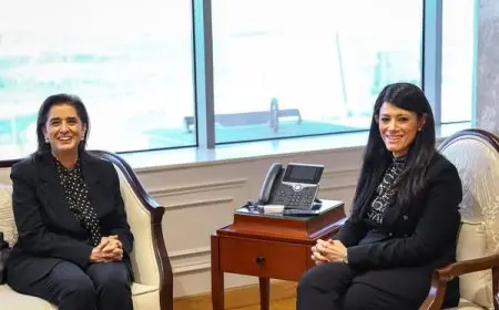 المشاط تناقش مع منظمة الصحة العالمية ضرورة دمج سياسات الصحة في استراتيجية التنمية متوسطة المدى