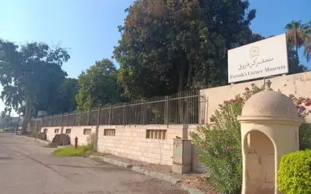 “تفاصيل حقيقة حريق متحف ركن فاروق في حلوان: وزارة الآثار تكشف المستور”