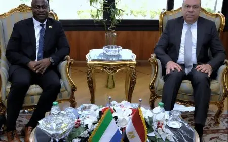 وزير الطيران المدني يلتقي بنظيره السيراليوني لاستكشاف فرص التعاون المشترك في مجال الطيران
