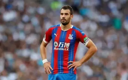 النصر الإماراتي يضم اللاعب الصربي لوكا ميليفويفيتش في صفقة مميزة